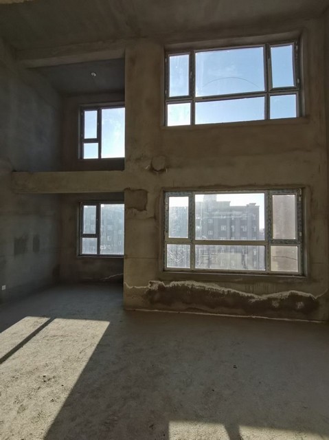 260206圖片